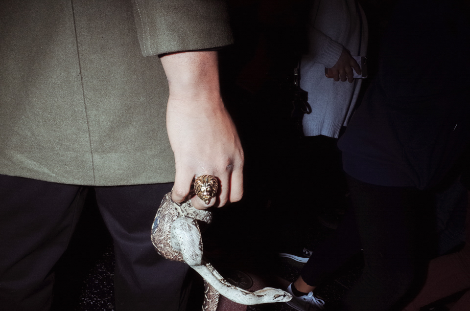 Snake, Kevin Samuels