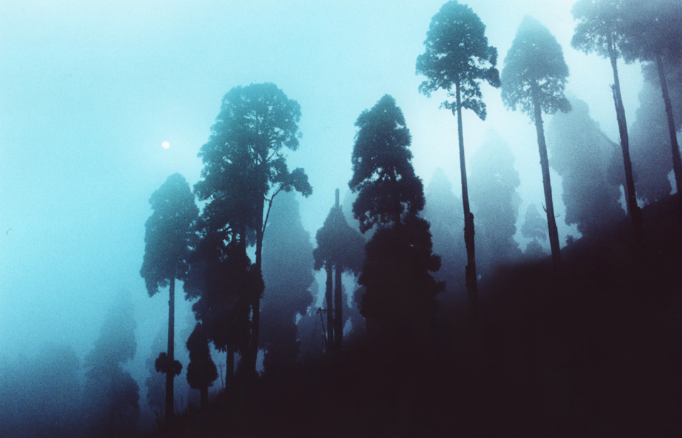 Fog, Darjeeling, 2009, © Sean Lotman